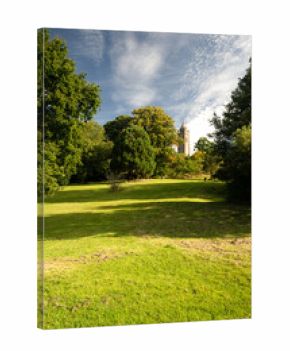 Cabot Tower Shot From Brandon Hill