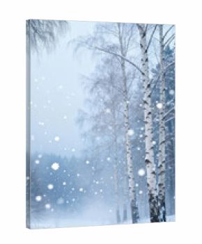 Gentle snowflakes fall softly in a tranquil winter scene. Birch trees stand tall amidst a thick layer of snow, creating a perfect atmosphere for peaceful reflection