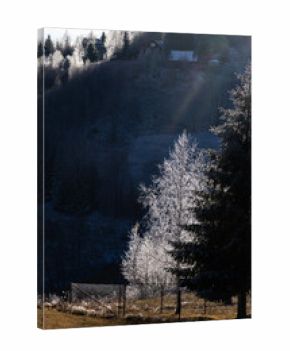 winter landscape with frozen trees with hoarfrost