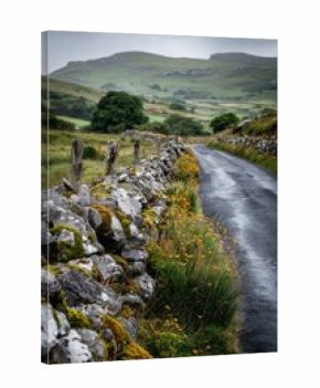 Quiet Irish rural road lined with mossy stone fences winds through gentle green hills under diffused daylight.