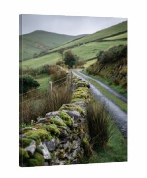 Quiet Irish rural road lined with mossy stone fences winds through gentle green hills under diffused daylight.