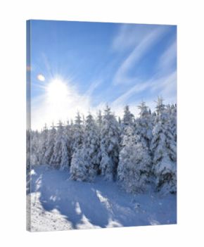 A cold winter day, Québec, Canada