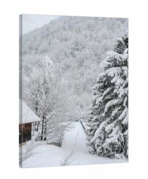 A snow-covered path winds toward a dense forest in winter. A house stands to the left, trees dusted in white line the trail, creating a serene scene in nature