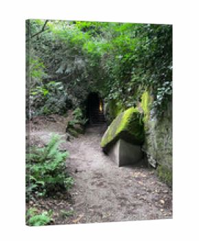 Tranquil Moss-Covered Stone Bench in a Secluded Garden Nook