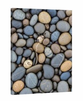 Batu sungai halus dengan berbagai warna dan tekstur