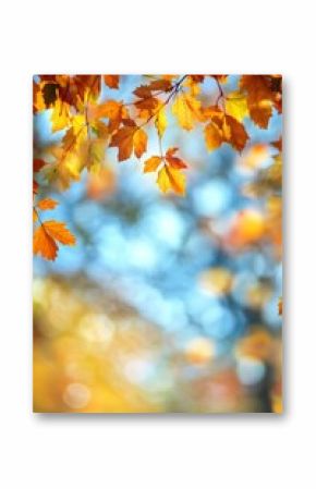 Golden autumn leaves drifting gently in a sunlit park during a tranquil afternoon