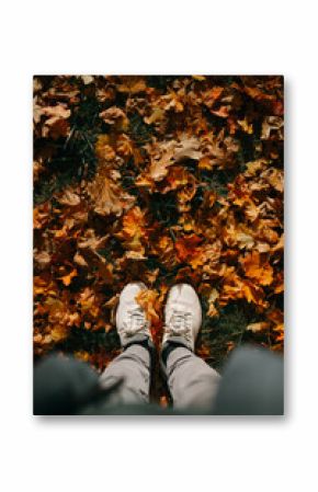 First person view looking down on colourful autumn leaves wearing white sneakers