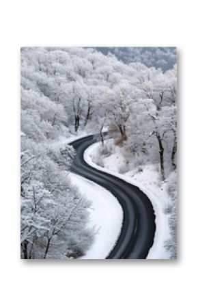 aerial view of a winter snowy forest with trees , the winding road below, creating a beautiful contrast between nature's colors and the asphalt.