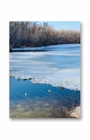 winter landscape