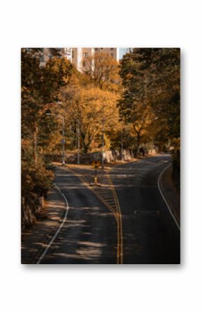 New York Central Park in the Fall Autumn leaves. 