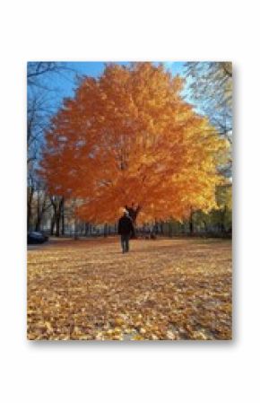 A person walking under a vibrant orange tree in a park surrounded by fallen leaves during autumn