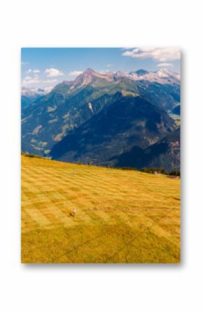 Alpine summer view with a peasant at work at Mount Penken, Mayrhofen, Finkenberg, Zillertal valley, Schwaz, Zell am Ziller, Tyrol, Austria