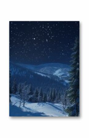 Snowy forest and starry sky in the mountains