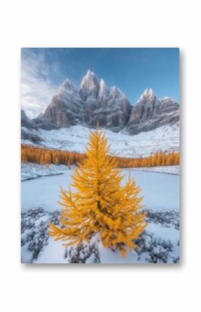 Golden Larch Stands Tall Against Snowy Mountain Landscape With Pristine Alpine Reflections.