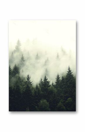 Misty landscape with mountains and dark moody fir forest in hipster vintage retro style