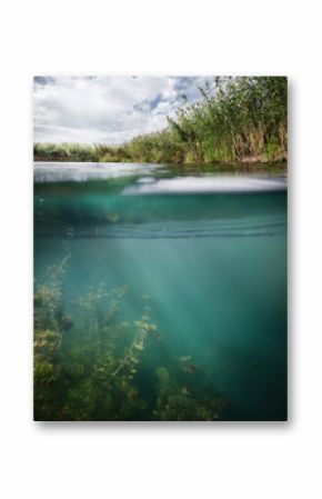 Fishing. Underwater background.