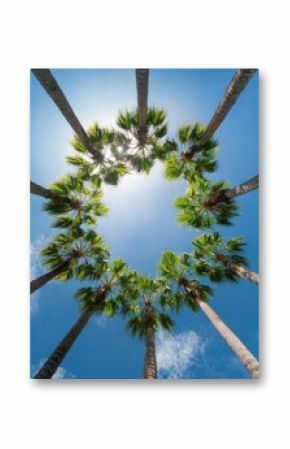 An enchanting circle of palm trees rises majestically against a deep blue sky, creating a relaxing oasis. Sunlight filters through the lush leaves, inviting escape and serenity