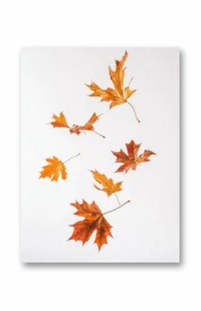 A bunch of leaves blown away from trees, suspended in mid-air