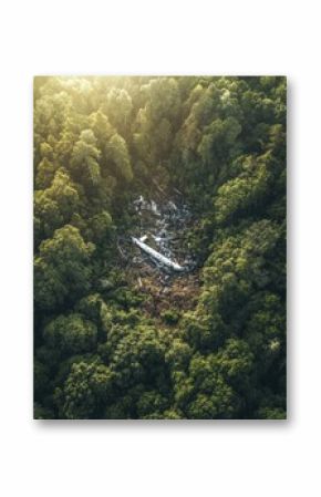 Dense forest reveals remnants of airplane wreckage in remote area during daylight. Generative AI