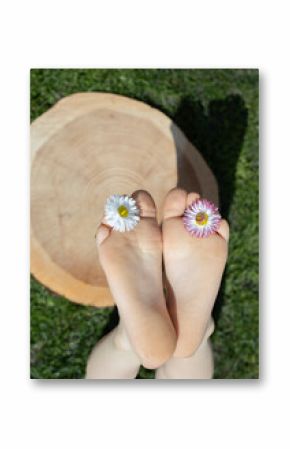 positive atmosphere, hello summer. Bare feet of a child and two daisy flowers between his toes on a wooden frame on a sunny day. Happy holidays. happy childhood, joy