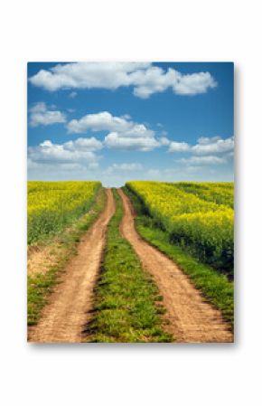 Dirt road in oilseed crop field landscape spring season