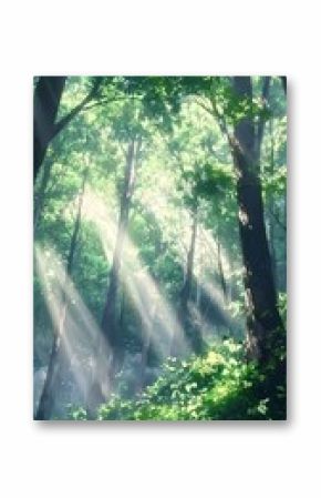 A Serene Forest teeming with Life, where Sunlight Beams Filter Gently Through Lush Green Trees all around