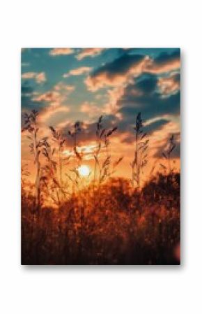 Golden Sunset Over a Grassy Field With Clouds in the Evening Sky