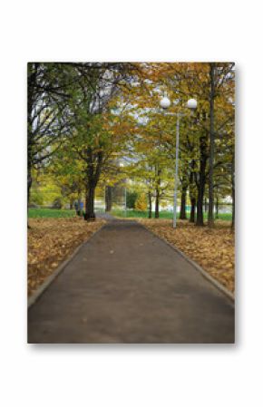 Autumn Park Pathway Lined with Trees and Falling Leaves Under Street Lamps