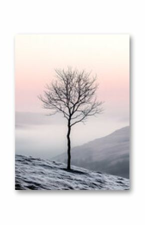 Silhouette of Leafless Tree on Snowy Hillside at Dawn