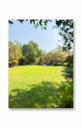 Abstract blur park garden for background