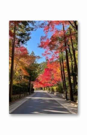 Scenic road lined with colorful maple trees in autumn
