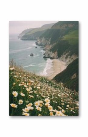 Flowers ocean beach shoreline.
