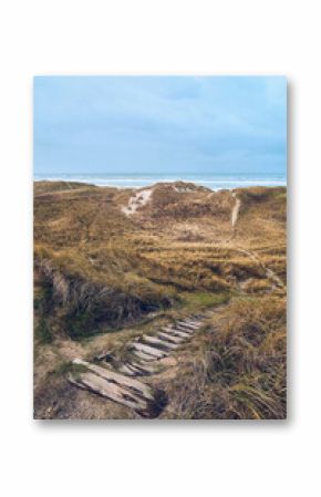 Wooden stairs in the dunes of denmark. High quality photo
