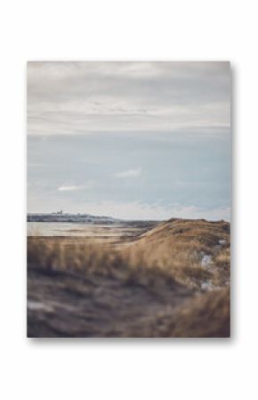 Winter at the dunes in Denmark. High quality photo