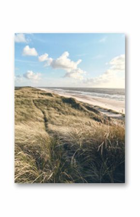 Scenic view over dunes at danish coast. High quality photo
