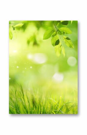 Natural background with young lush green grass and tree leaves in sunlight with beautiful bokeh. Summer spring background wihh soft focus.