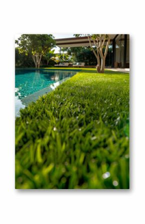 Low Angle Shot The vast expanse of lawn adjacent to the sparkling pool.Low Angle Shot，with lawn as the main body