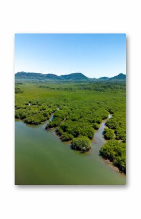 Aerial View background - riverbank, mangrove forest, white sand beach under crystal clear sea water