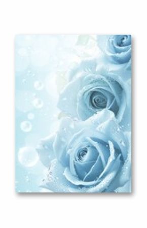 Light blue roses with water droplets on a soft blue background with white bubbles