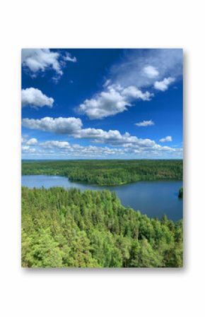 Forest lake scenery with blue water and sky with white clouds