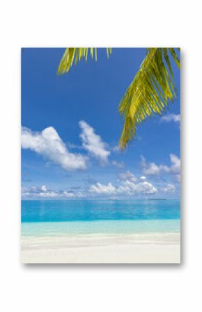 Summer beach landscape. Tropical island paradise. Exotic coast, palm trees, pristine sea, blue happy sky. Amazing nature pattern. Exotic destination travel tourism, vacation mood perfect wallpaper