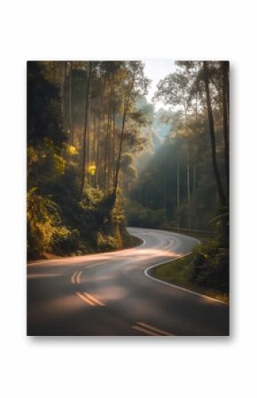 A road meandering through a forest, enveloped in a mist