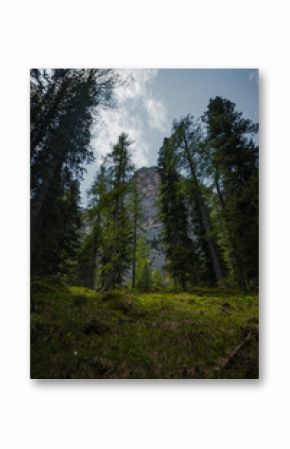 The Dolomite Mountains seen through forest, Italy