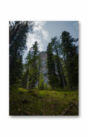 The Dolomite Mountains seen through forest, Italy