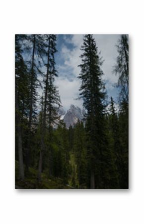 The Dolomite Mountains seen through forest, Italy