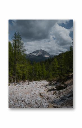 The Dolomite Mountains seen through forest, Italy