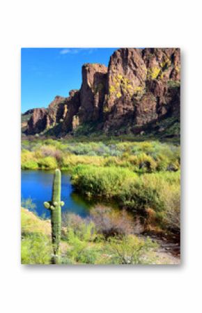 Salt River Recreation Area Arizona