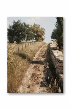 General shot, photorealistic scene of Palestine in the year 20 AD. C., empty dirt road. Vertical biblical landscape.