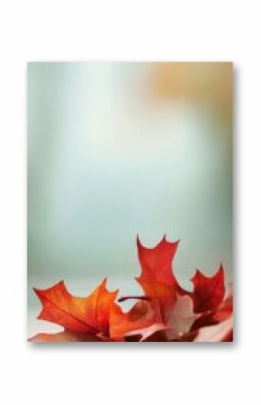 Autumn maple leaves background, fall backdrop