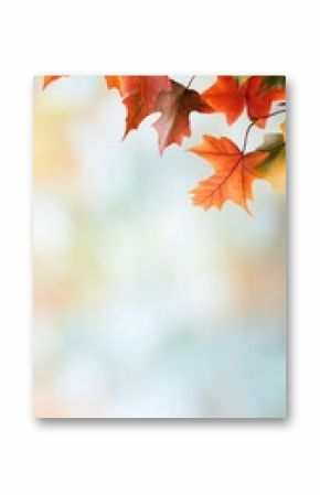 Autumn maple leaves background, fall backdrop